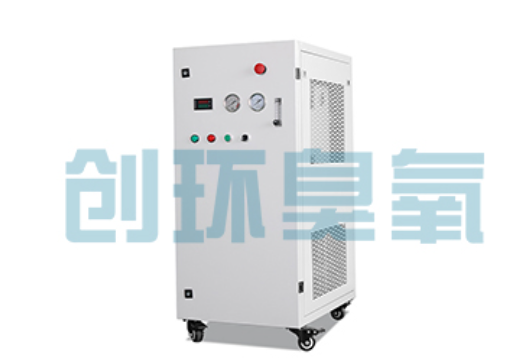 可克达拉石斑鱼养殖水质调控完整指南：臭氧发生器配置与操作步骤